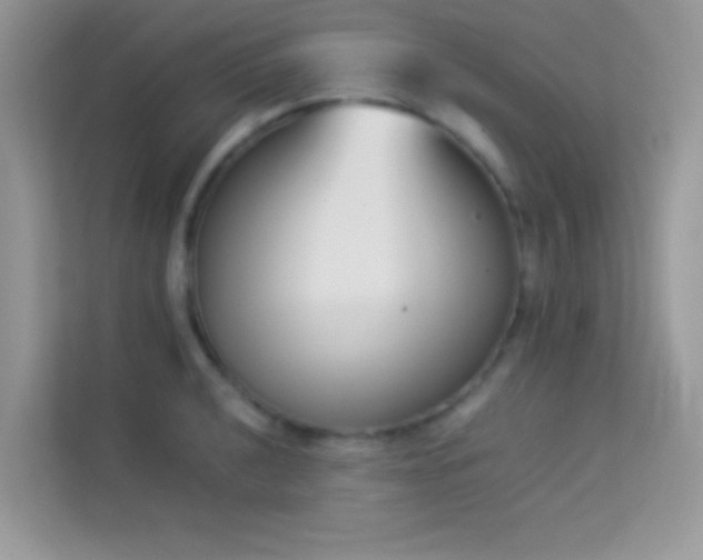 X0000114231040200910091444