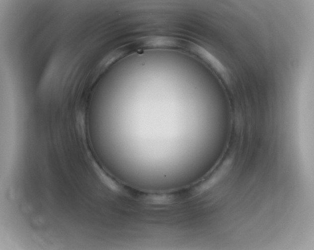 X0000114231041200910091444