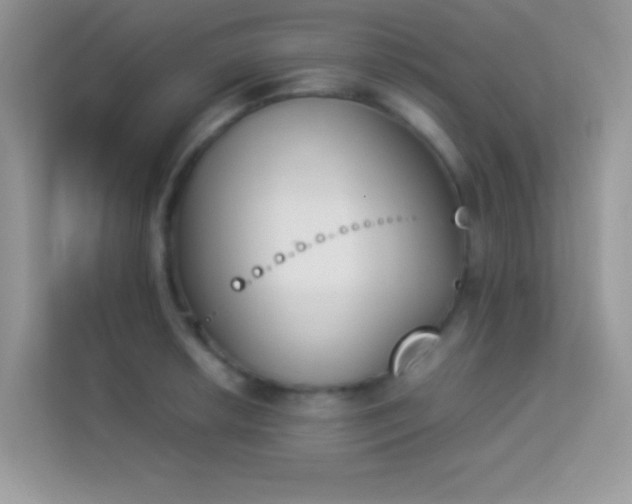 X0000114231042200910091444