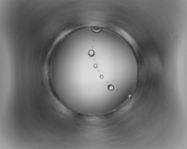 X0000114231048200910091444