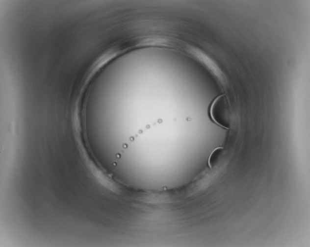 X0000114231050200910091444