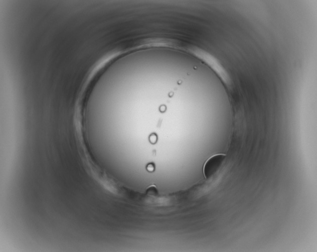 X0000114231051200910091444