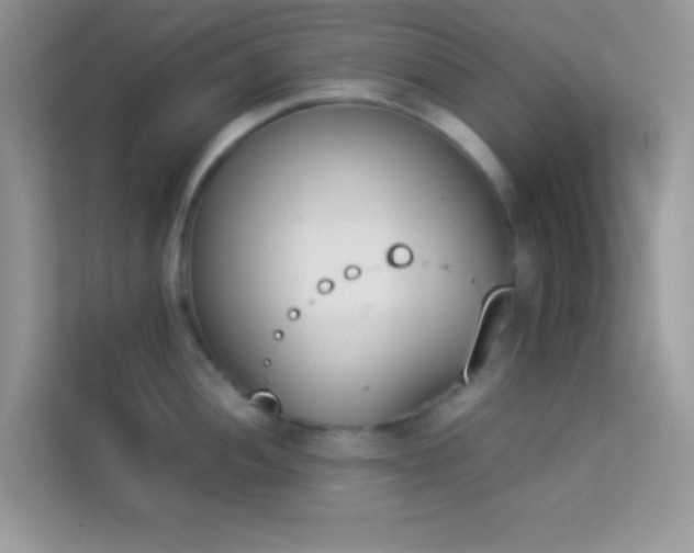 X0000114231052200910091444
