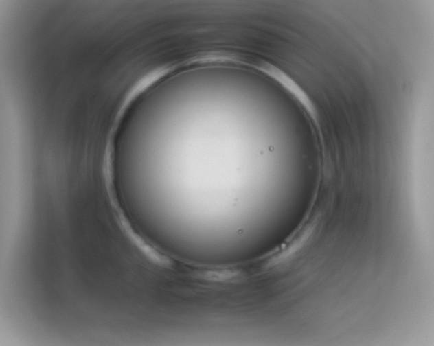 X0000114231053200910091444
