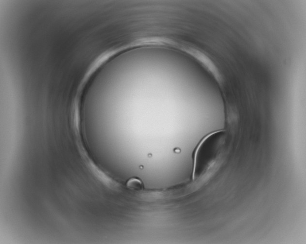 X0000114231054200910091444