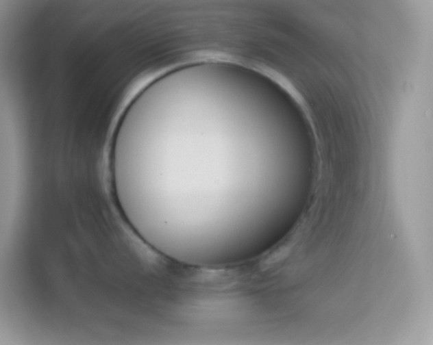 X0000114231056200910091444