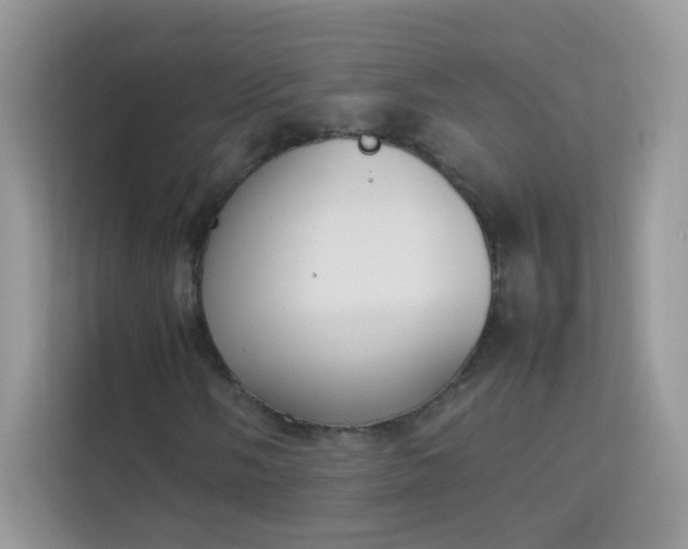X0000114231058200910091444