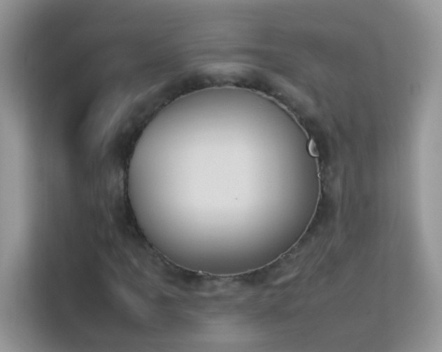 X0000114231061200910091444