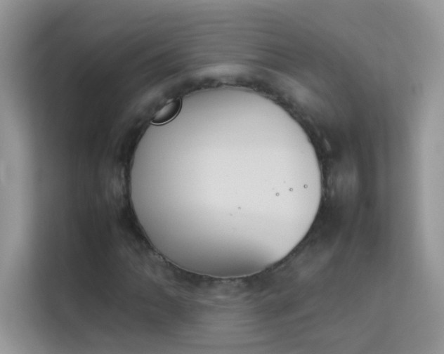 X0000114231062200910091444