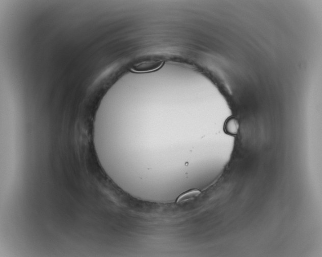X0000114231064200910091444