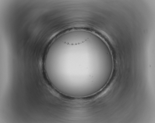 X0000114231065200910091444