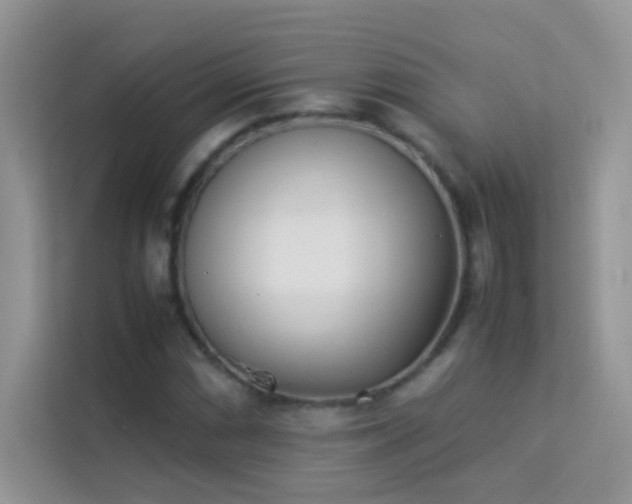 X0000114231066200910091444