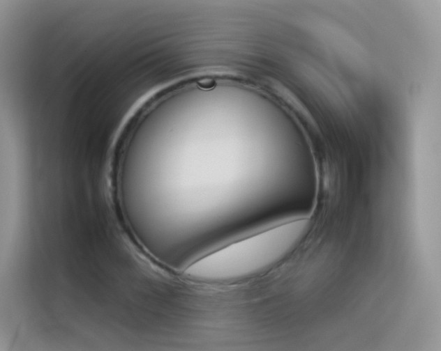 X0000114231068200910091444