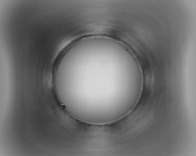 X0000114231069200910091444