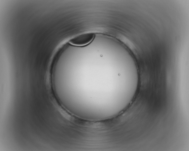 X0000114231072200910091444