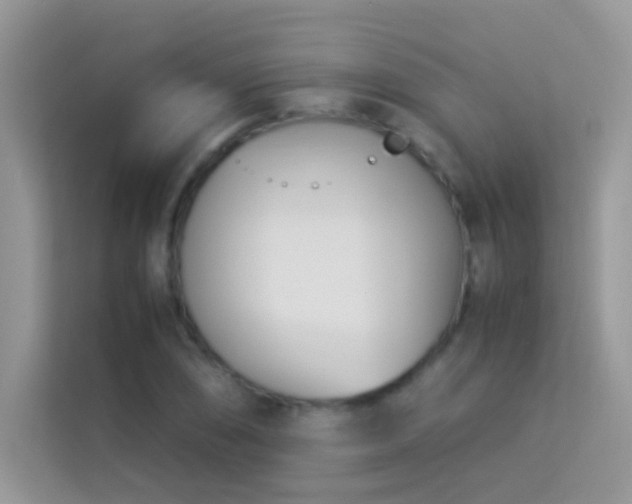 X0000114231074200910091444