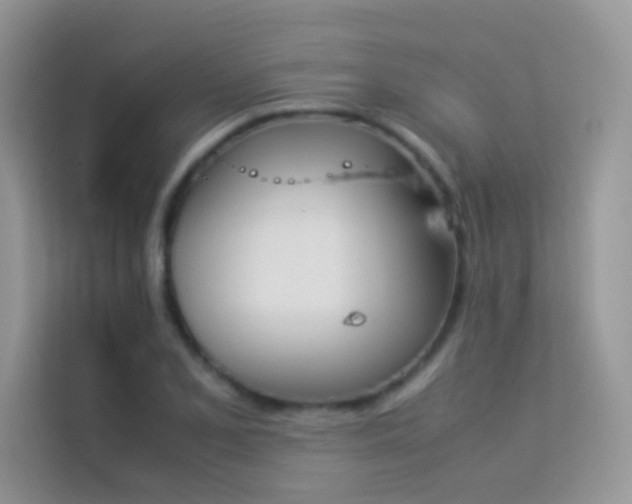 X0000114231077200910091444