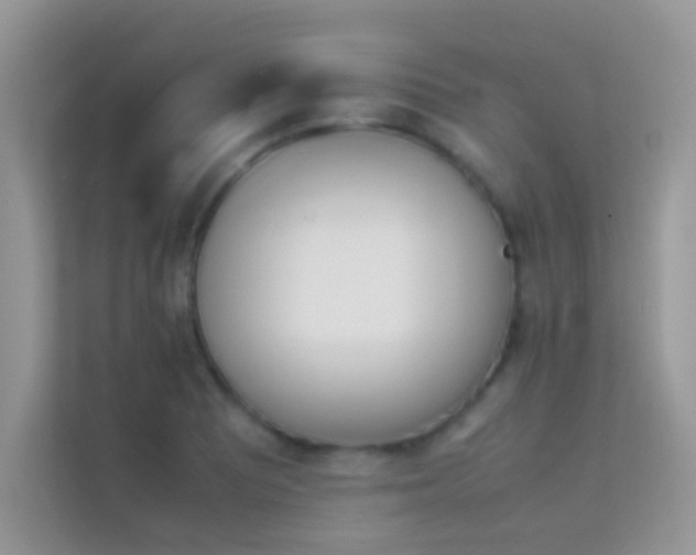 X0000114231081200910091443