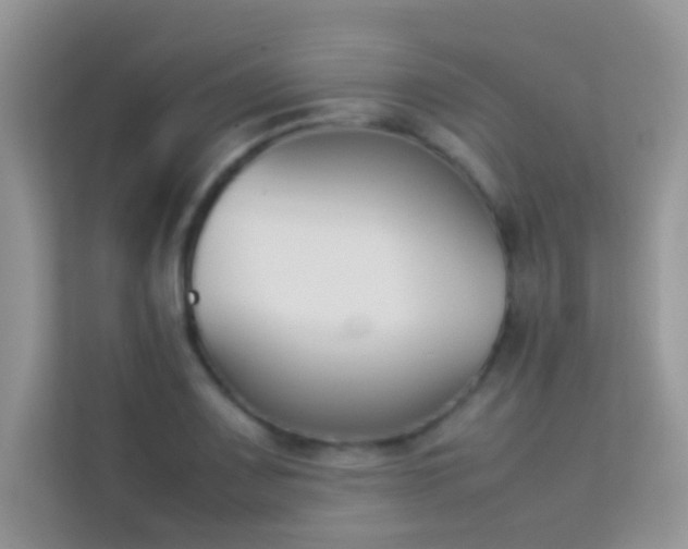 X0000114231083200910091443