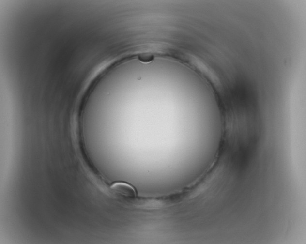 X0000114231085200910091443