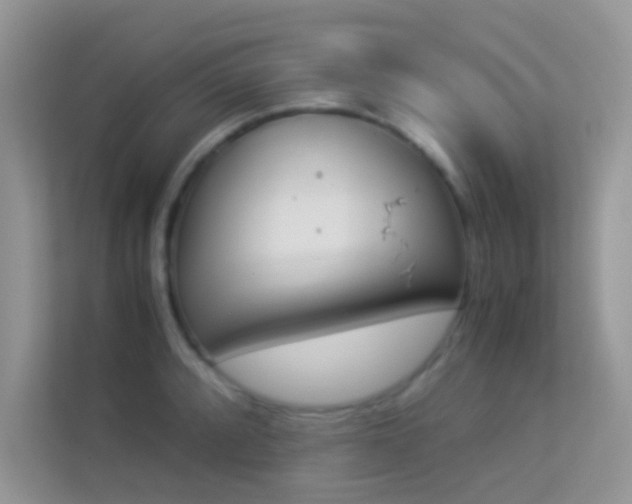 X0000114231088200910091443