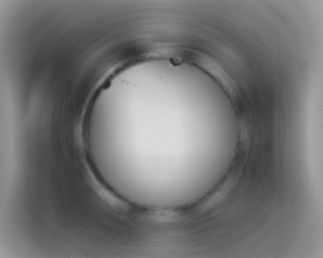 X0000114231090200910091443