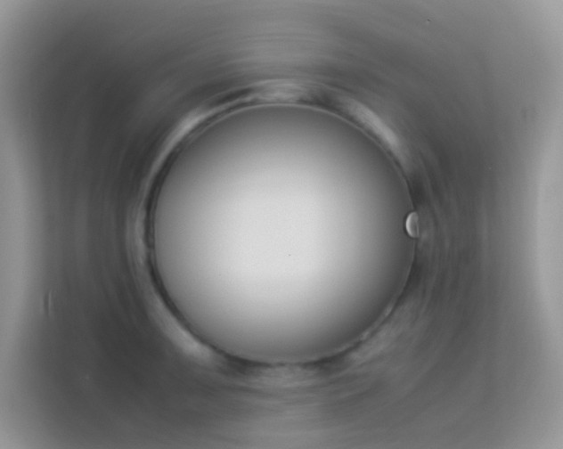 X0000114231091200910091443
