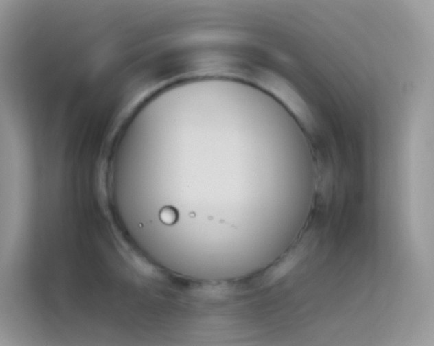 X0000114231094200910091443