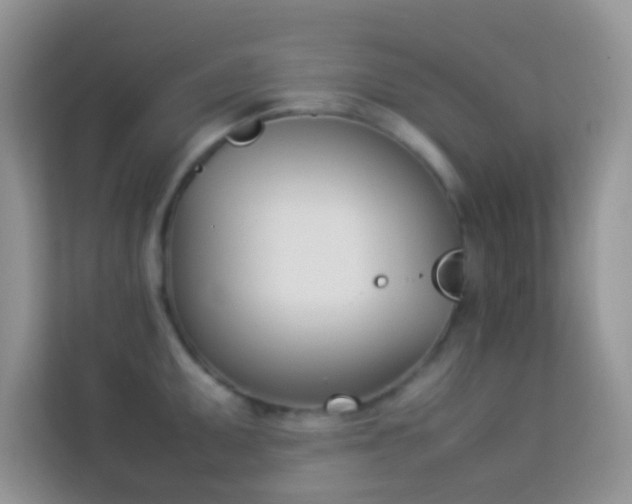 X0000114231095200910091443