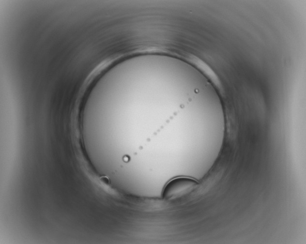X0000114231096200910091443