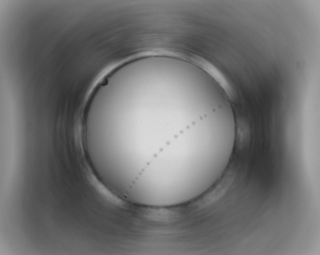 X0000114231100200910091443