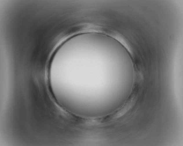 X0000114231101200910091443