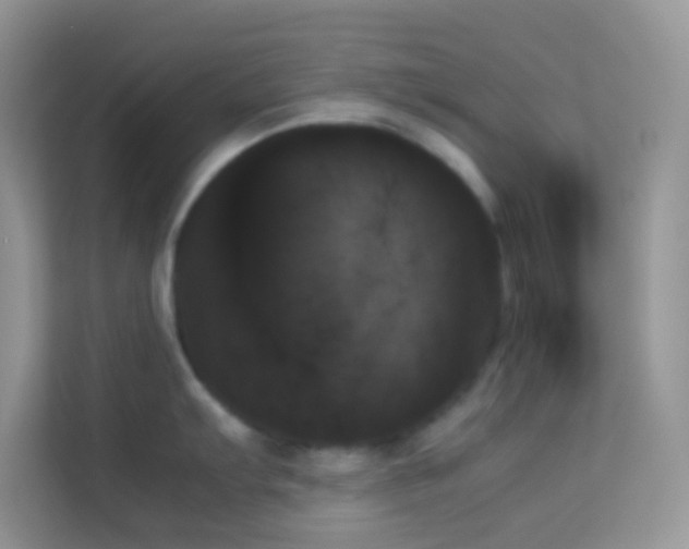X0000114231103200910091443