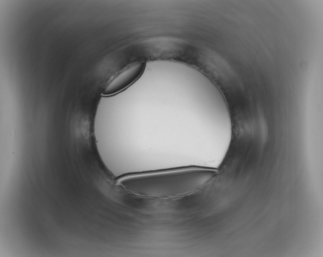X0000114231108200910091443