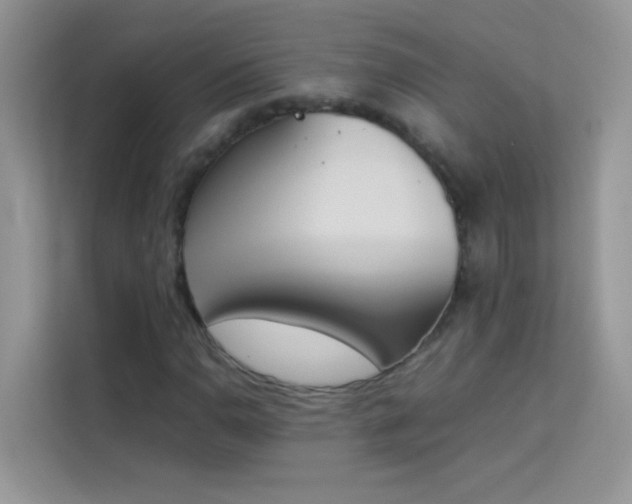 X0000114231110200910091443