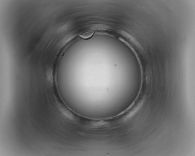 X0000114231113200910091443
