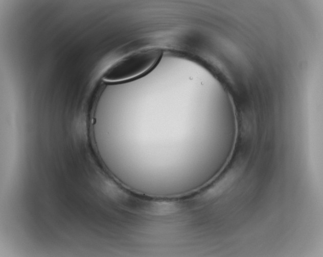 X0000114231114200910091443