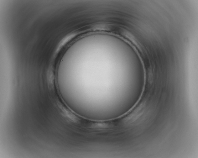 X0000114231115200910091443