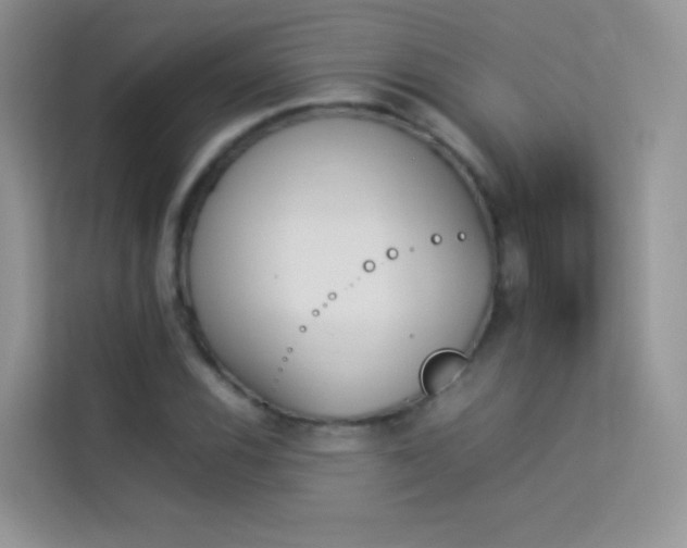 X0000114231116200910091443