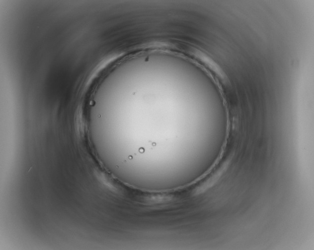 X0000114231117200910091443