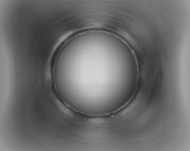 X0000114231118200910091443