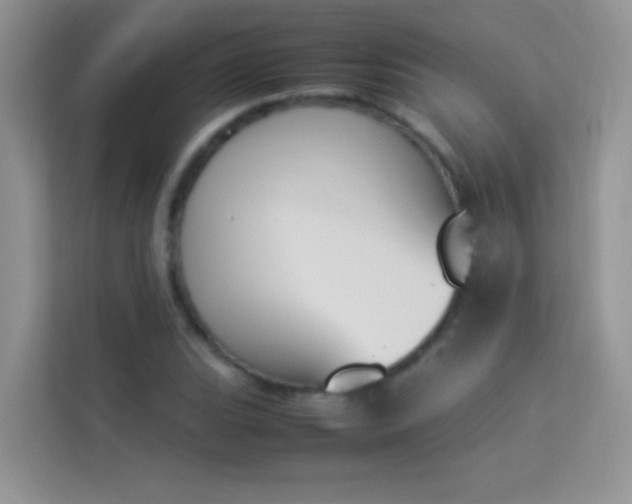 X0000114231119200910091443
