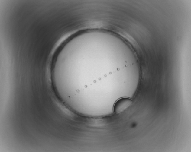 X0000114231120200910091443