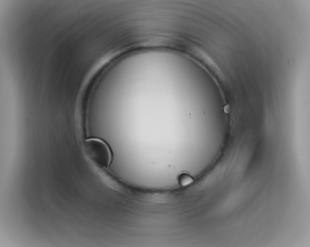 X0000114231122200910091443