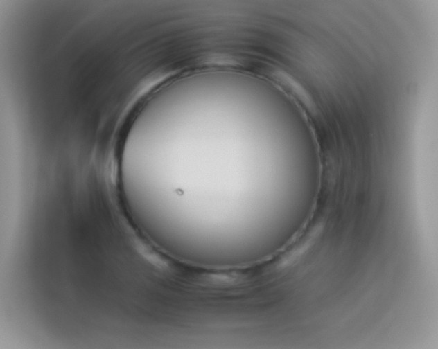 X0000114231125200910091443