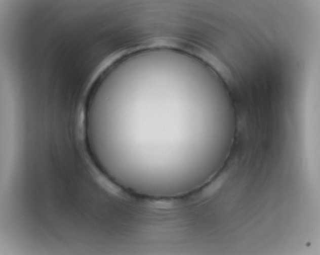 X0000114231126200910091443