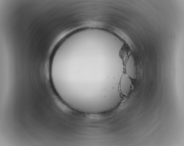 X0000114231128200910091443