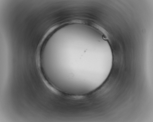 X0000114231131200910091443