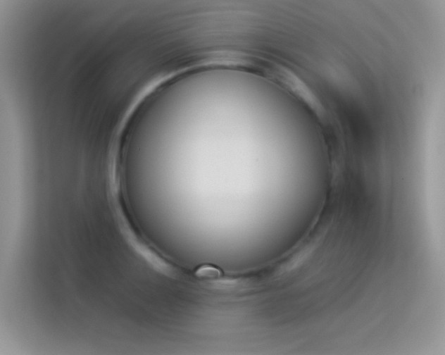X0000114231132200910091443