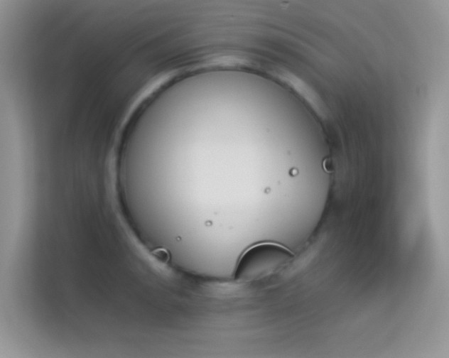 X0000114231134200910091443